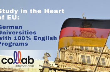 English Degrees in Germany