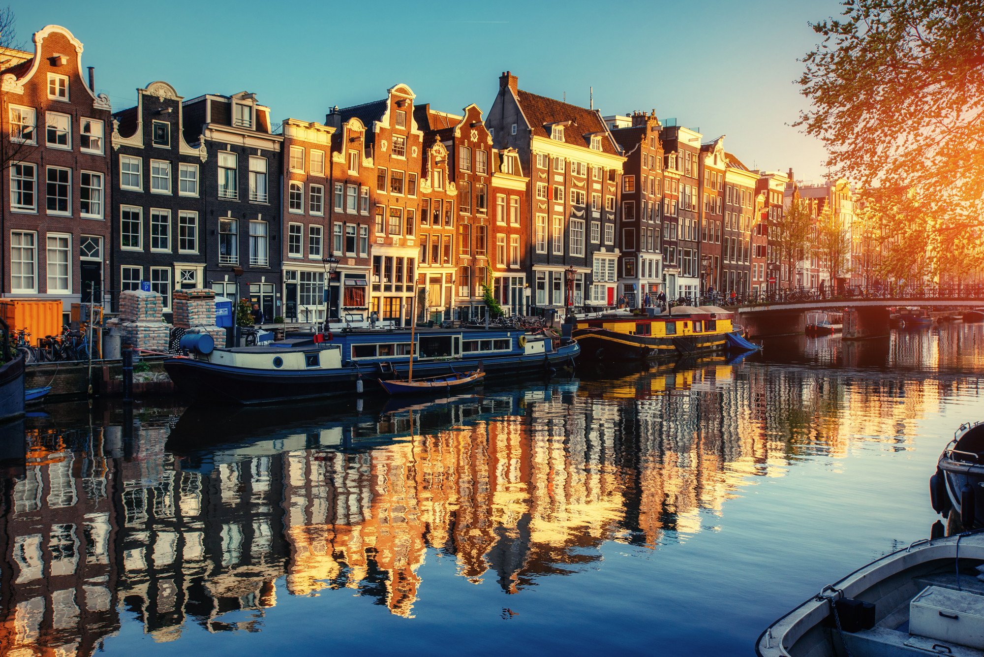 Study Medicine Abroad in Netherlands